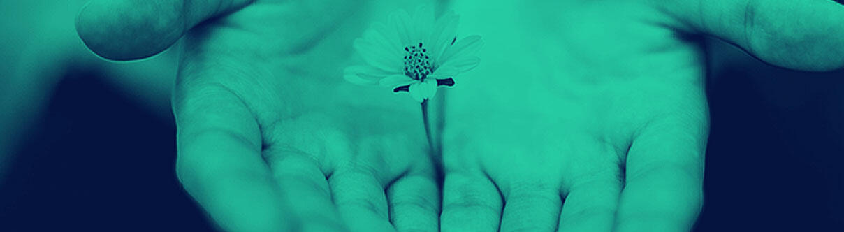 Hands palms facing up holding flower